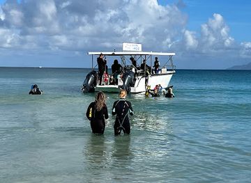 seychelles/curieuse-island/landmark/blue-sea-divers-seychelles
