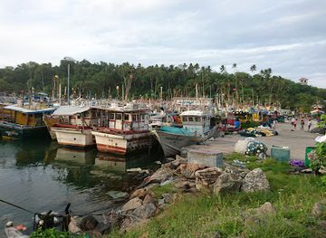 sri-lanka/mirissa/landmark/mirissa-fisheries-harbor