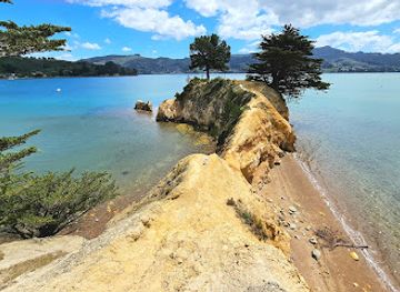 new-zealand/dunedin/otago-peninsula/landmark/yellow-head