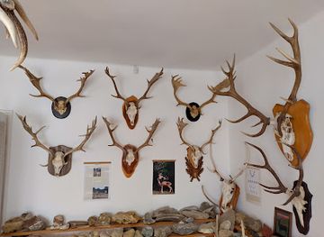 hungary/bakony/landmark/trofea-es-kozetbemutato