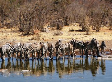 namibia/etosha-national-park/landmark/moringa-waterhole-viewpoint