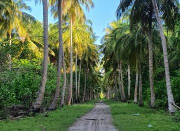 maldives/laamu-atoll/landmark/baresdhoo