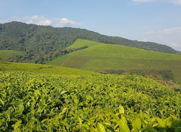 burundi/kayanza/landmark/kibira-national-park