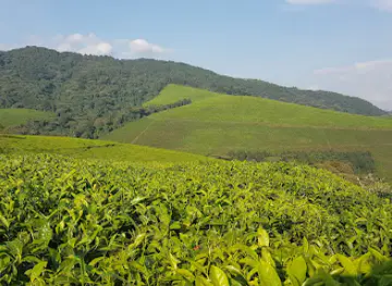 Kibira National Park