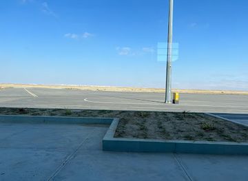 angola/namibe-desert/landmark/welwitschia-mirabilis-international-airport