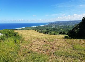 barbados/harrison-s-cave/landmark/cherry-tree-hill-reserve