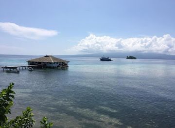 solomon-islands/munda-dive-sites/landmark/solomon-islands-dive-expeditions