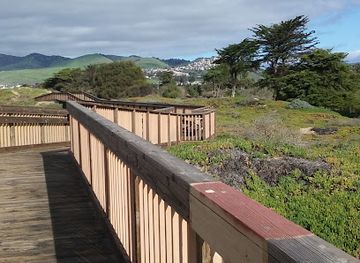 california/pismo-beach/landmark/monarch-butterfly-grove