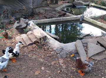 bulgaria/northeast-bulgaria/landmark/zoo-gorica