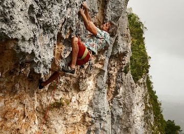 puerto-rico/big-island/landmark/flying-coconut