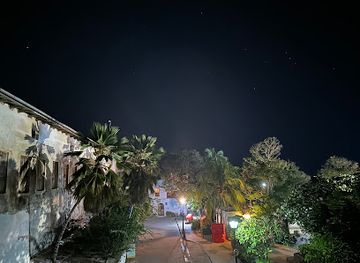 tanzania/stone-town/forodhani-gardens/landmark/landscape-and-taking-pictures