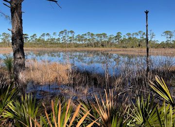 alabama/upland-south/landmark/bon-secour-national-wildlife-refuge