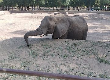 nigeria/maiduguri/landmark/sanda-kyarimi-park