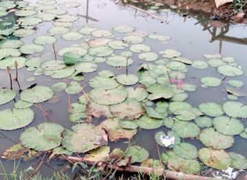 liberia/western-region/landmark/mesurado-river