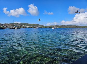 puerto-rico/culebra/landmark/dinghy-dock-restaurant