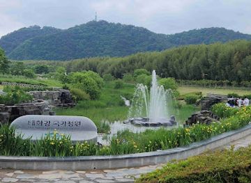 south-korea/ulsan/landmark/taehwagang-bamboo-forest