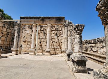israel/southern-district/landmark/capharnaum-the-town-of-jesus