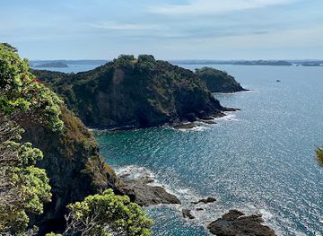 new-zealand/northland/landmark/motuarohia-island