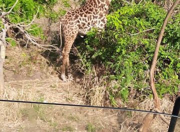tanzania/mikumi-national-park/landmark/mikumi-national-park-restaurant-lodge