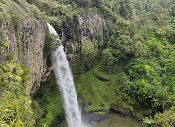 new-zealand/waikato/landmark/bridal-veil-falls