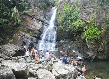 puerto-rico/yunque-national-forest/landmark/cascada-la-mina