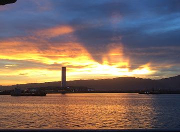 philippines/cebu-city/landmark/jumalon-butterfly-sanctuary-and-art-gallery