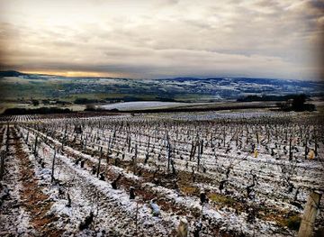 france/burgundy-vineyards/landmark/domaine-du-beauregard
