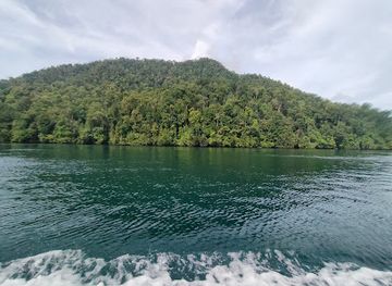indonesia/raja-ampat/landmark/kali-biru-blue-river-raja-ampat