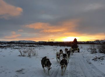 norway/finnmark/landmark/tana-husky