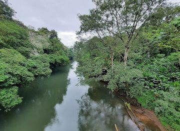 costa-rica/sarapiqui/landmark/la-selva-biological-station