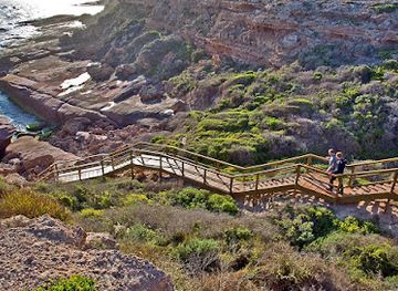australia/far-west/landmark/woolshed-cave
