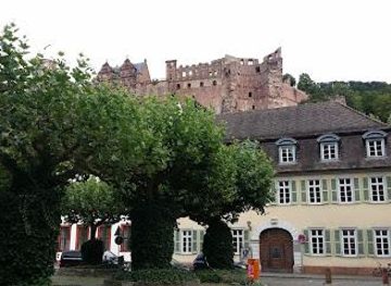 germany/heidelberg/landmark/stadt-heidelberg