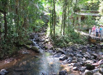 puerto-rico/el-yunque-national-forest/landmark/la-mina-recreation-area