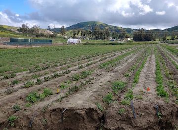 california/irvine/landmark/irvine-ranch-conservancy-native-seed-farm