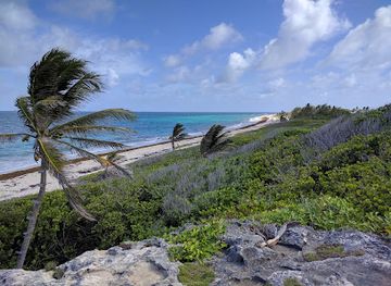 barbados/christ-church/landmark/chancery-lane-swamp
