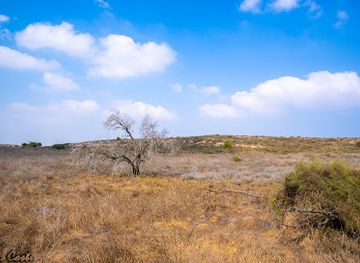 israel/judea/landmark/yad-mordehai-forest
