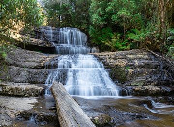australia/mount-field-national-park/landmark/lady-barron-falls