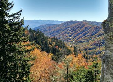 tennessee/great-smoky-mountains-national-park/landmark/newfound-gap