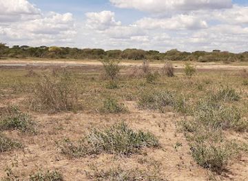 tanzania/masai-steppe/landmark/mkungunero-game-reserve