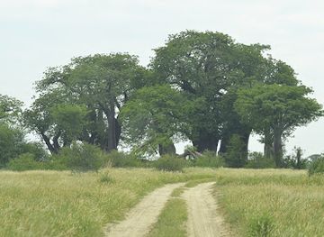botswana/nxai-pan-national-park/landmark/nxai-pan