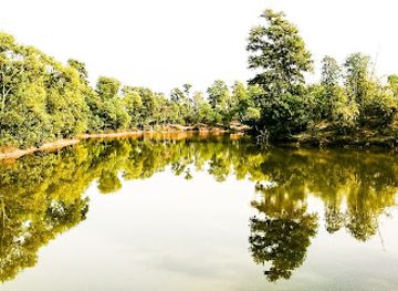 bangladesh/ratargul-swamp-forest/landmark/satchari-national-park