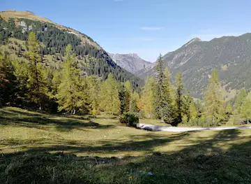 Sassförkle