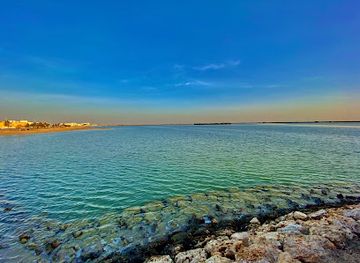 qatar/al-thakira-mangroves/landmark/al-thakhira-marina