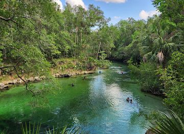 florida/juniper-springs-recreation-area/landmark/blue-spring-state-park