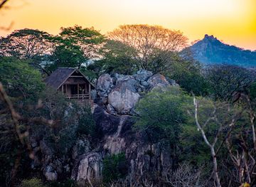 zimbabwe/chimanimani-national-park/landmark/save-valley-conservancy