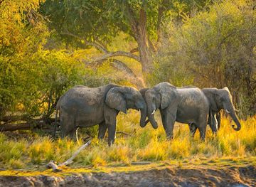 Zambezi National Park