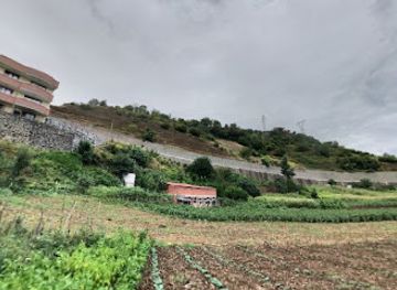 turkiye/trabzon/akcaabat/landmark/sani-topraklari