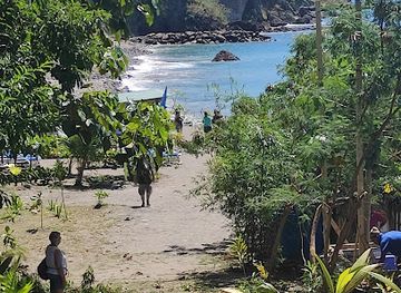 dominica/indian-river/landmark/champagne-reef-dominica