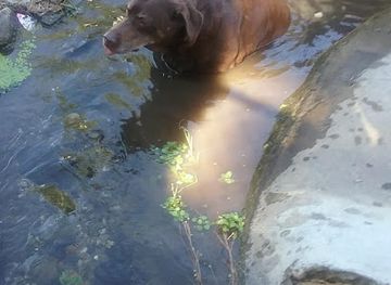 washington/kennewick/landmark/kenwood-park