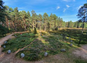 poland/bory-tucholskie/landmark/rezerwat-przyrody-kregi-kamienne-w-odrach